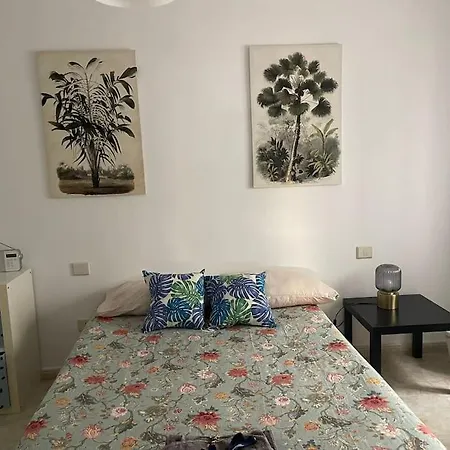 Private In Shared 'zavanah On The Beach' Apartment